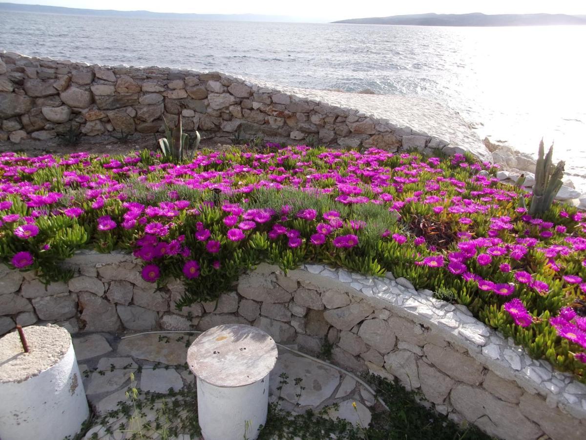 Pura Vida Makarska Leilighet Eksteriør bilde